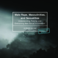 2018_Book_MaleRapeMasculinitiesAndSexual.pdf