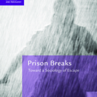 2018_Book_PrisonBreaks.pdf