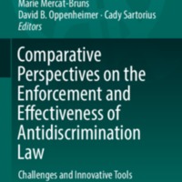 2018_Book_ComparativePerspectivesOnTheEn.pdf