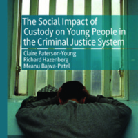 2019_Book_TheSocialImpactOfCustodyOnYoun.pdf