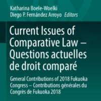 2019_Book_CurrentIssuesOfComparativeLawQ.pdf